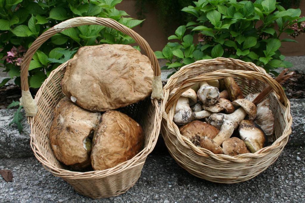 Garden House - Hotel Sport Levico Terme Bagian luar foto